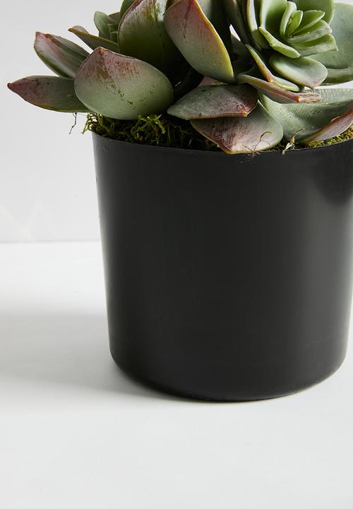 Silk By Design - Succulents in liner - grey