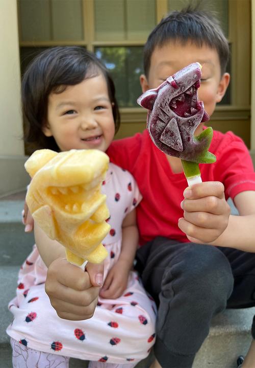 Zoku - Ice Pop Mold - Shark