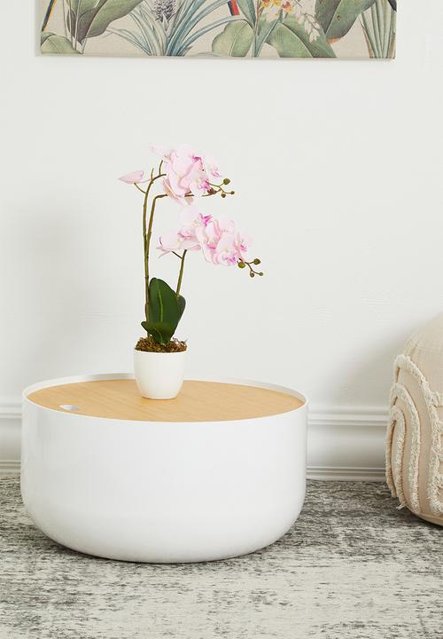 Sixth Floor - Benjamin storage coffee table - white & natural