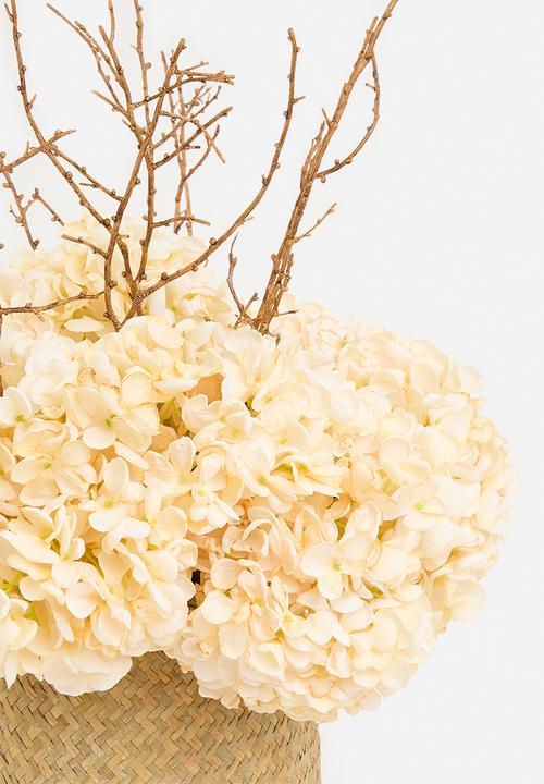 Silk By Design - Dry look hydrangea arrangement - cream