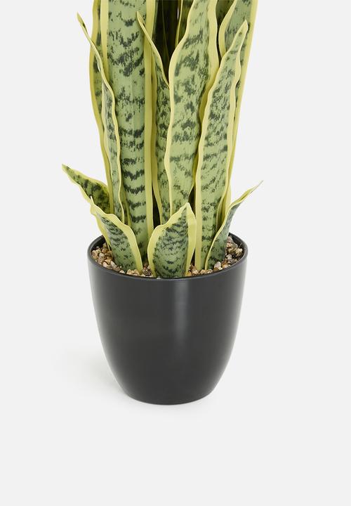 H&S - Artifical Sanseviera in pot