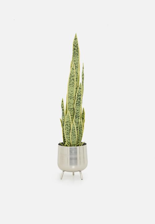 H&S - Artifical Sanseviera in pot