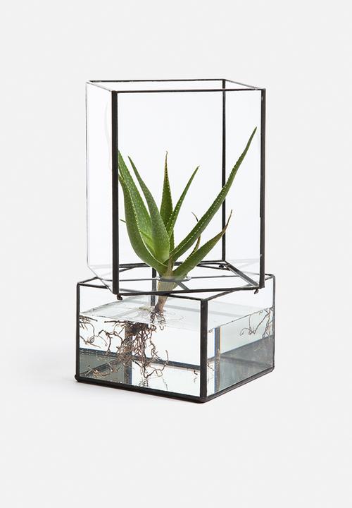Arkivio - Glass Garden Medium