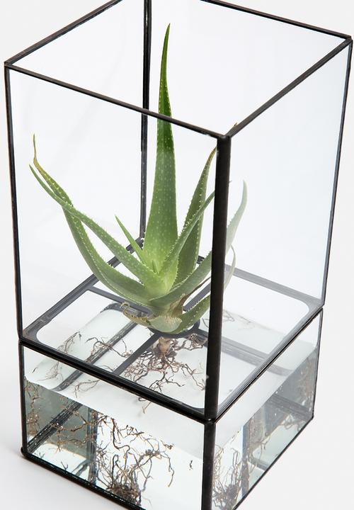 Arkivio - Glass Garden Medium