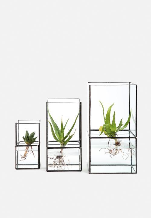 Arkivio - Glass Garden Medium