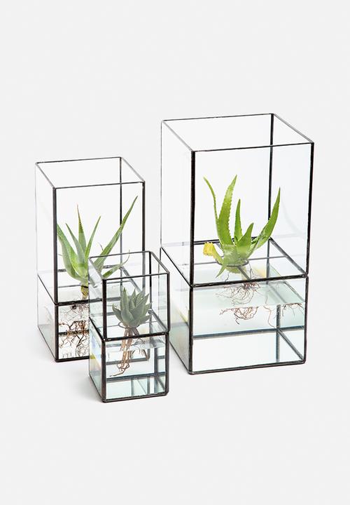 Arkivio - Glass Garden Medium