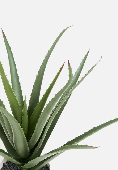 Sixth Floor - Aloe Artificial Plant - green