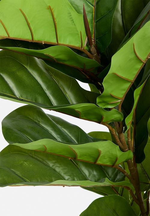 Sixth Floor - Fiddle Leaf Large Artificial Plant - green