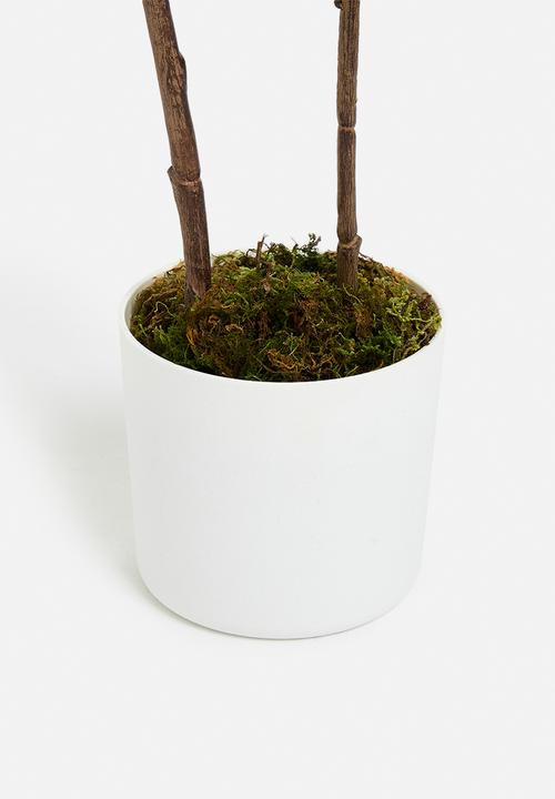Sixth Floor - Wisteria Artificial Plant - green
