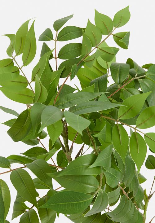 Sixth Floor - Wisteria Artificial Plant - green