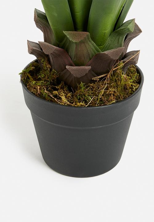 Sixth Floor - Yucca Artificial Plant - green