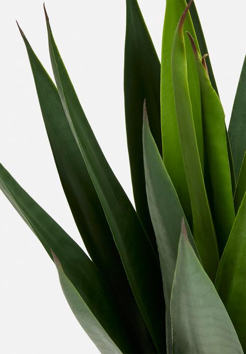 Sixth Floor - Yucca Artificial Plant - green