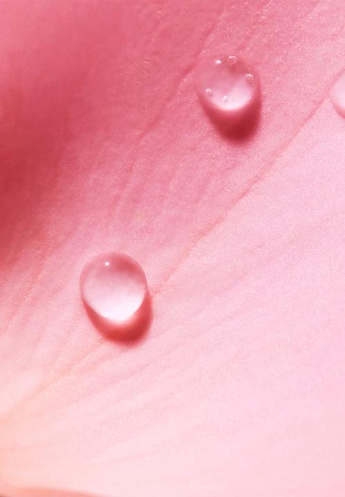 NUXE - Very Rose Fragrant Water