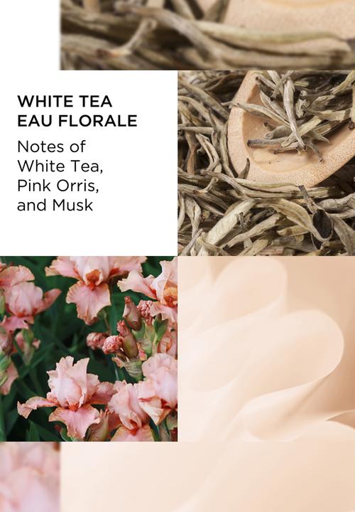 Elizabeth Arden - Elizabeth Arden White Tea Eau Florale Edt - 100ml