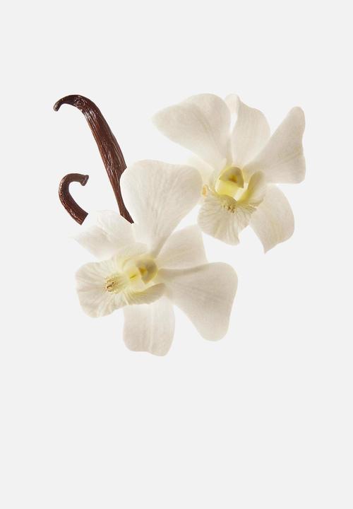 Laneige - Lip Sleeping Mask - Vanilla