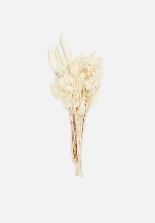 Bloom Space - Medium Dried Floral Arrangement - Bleached