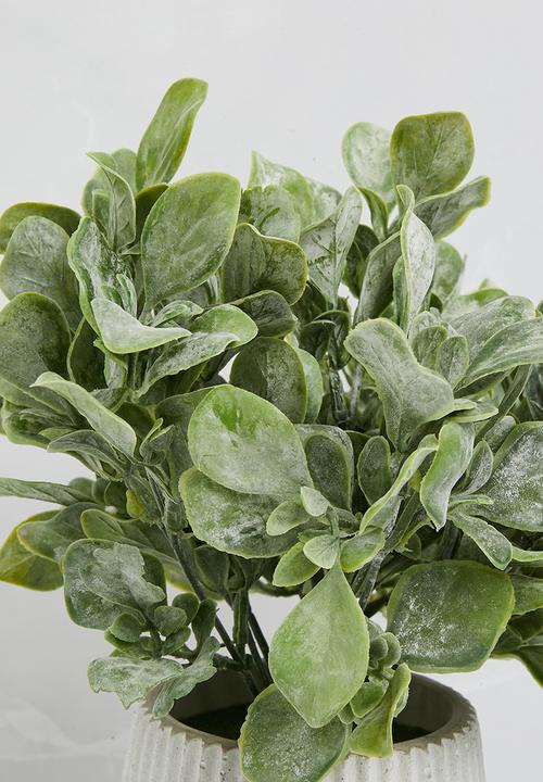Sixth Floor - Jamsine Leaf Artificial Plant Ceramic pot