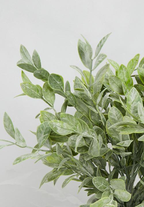 Sixth Floor - Tea Leaf Artificial Plant Marbel Pot