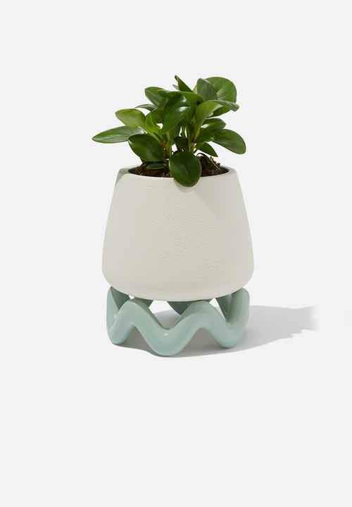 Typo - 2 Piece Planter - Ecru