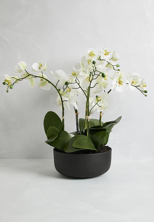 Silk By Design - 4  Stem phalaenopsis orchid arrangement - white