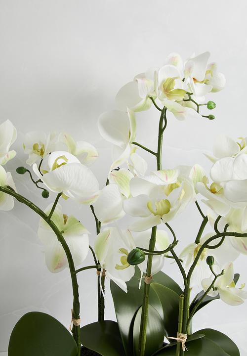 Silk By Design - 4  Stem phalaenopsis orchid arrangement - white