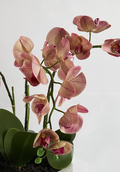 Silk By Design - 3  Stem phalaenopsis orchid arrangement - peach