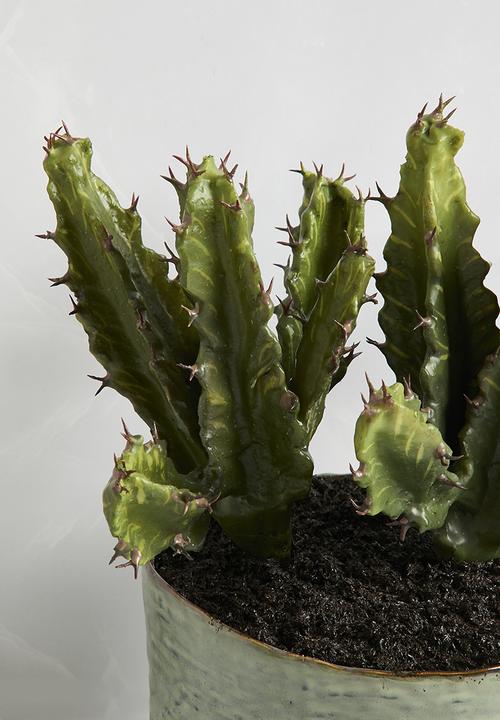 Silk By Design - Potted cactus  - green