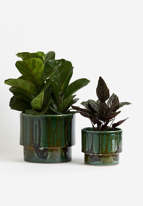 H&M - Extra-large terracotta plant pot - Green Patterned