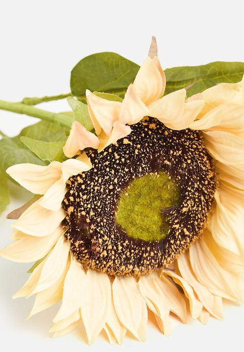 Sixth Floor - Sunflower-cream