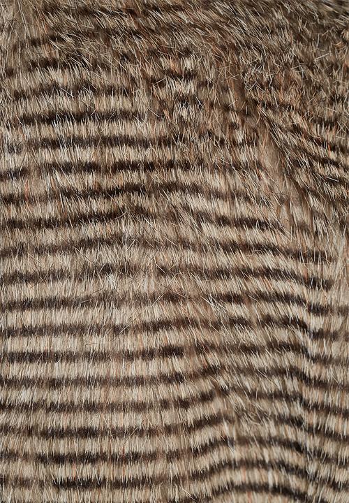 Bellfield - Sutton Jacket