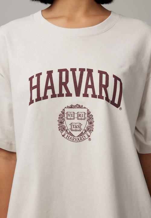 Factorie - Har Baggy Graphic Tee - Lcn Har Dove Grey/Harvard