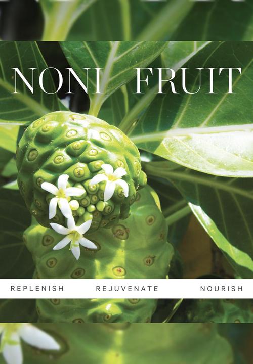 KORA Organics - Noni Night AHA Resurfacing Serum