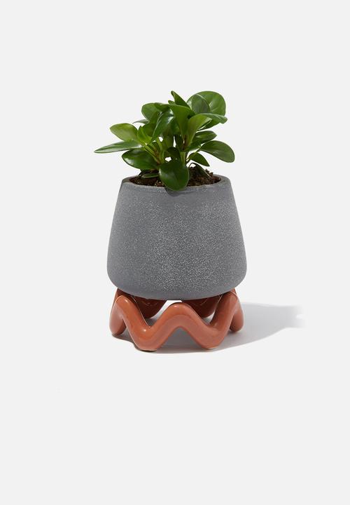 Typo - 2 Piece Planter - Welsh Slate