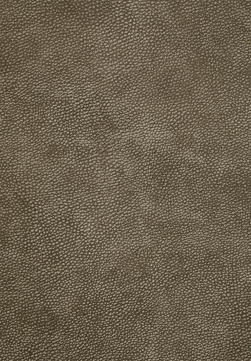 Sixth Floor - Terra 3 seater genuine leather - Andes stone