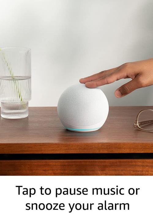 Amazon - Amazon Echo Dot (5th Gen) - Glacier White