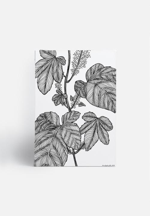 Maria Magdalena Van Wyk - Foliage