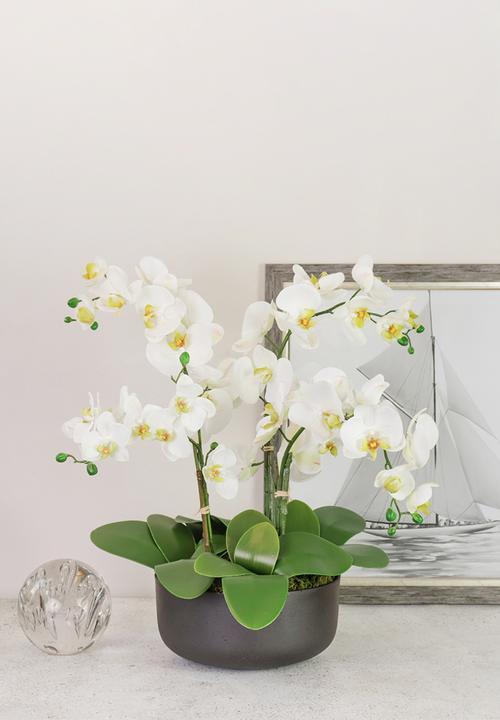 Silk By Design - 4  Stem phalaenopsis orchid arrangement - white