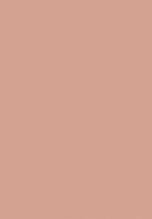 Sally Hansen - Insta-Dri® Nail Polish - Taupe Priority