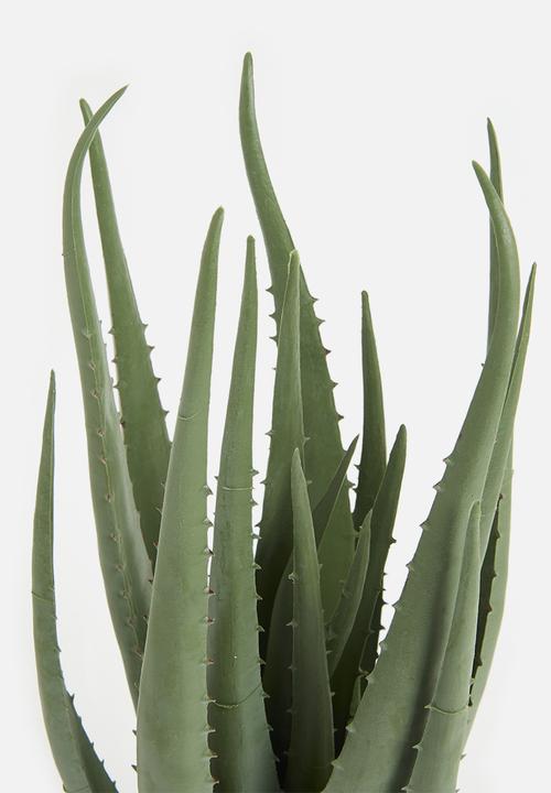 H&S - Artificial Potted Aloe - green & black