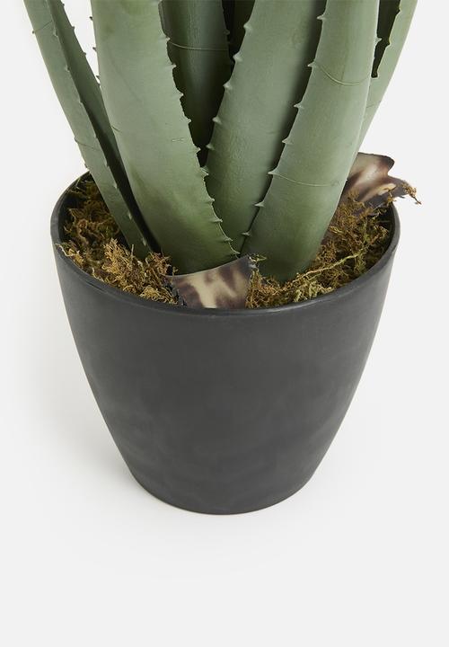 H&S - Artificial Potted Aloe - green & black