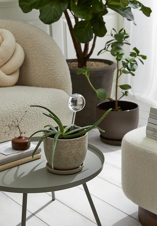H&M - Watering globe - transparent