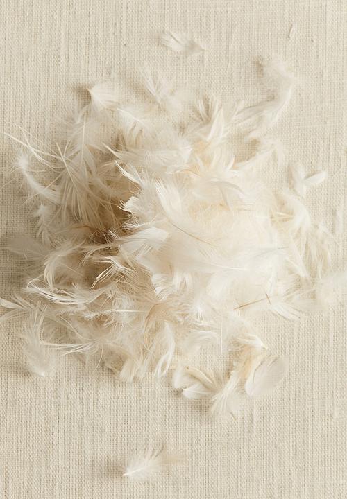 H&M - Feather-filled inner cushion - white