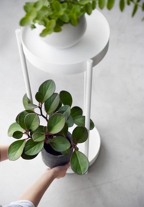 Yamazaki - TOWER 2-TIERED PLANT STAND WITH CASTER WHITE