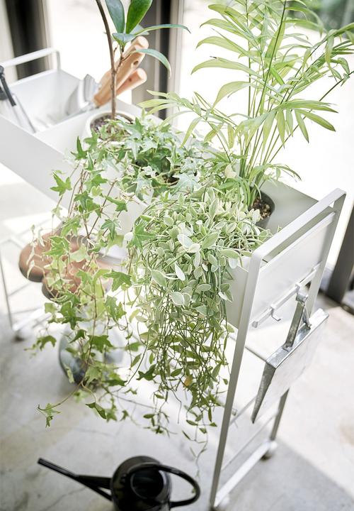 Yamazaki - Cart storage with basket - white