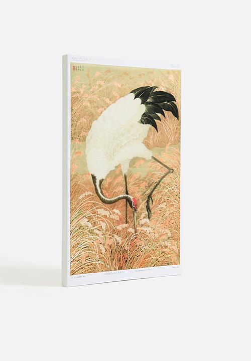 MJ Design Studio - Sarus Crane In Rice Field Canvas Wall Art