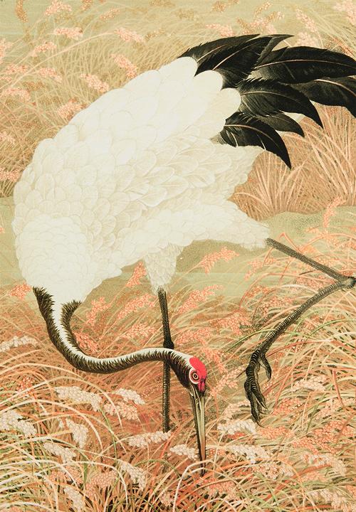 MJ Design Studio - Sarus Crane In Rice Field Canvas Wall Art