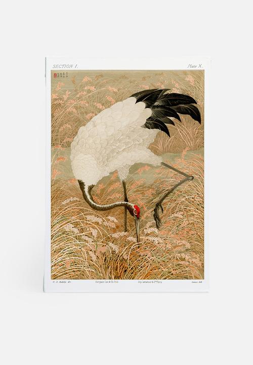 MJ Design Studio - Sarus Crane In Rice Field Canvas Wall Art