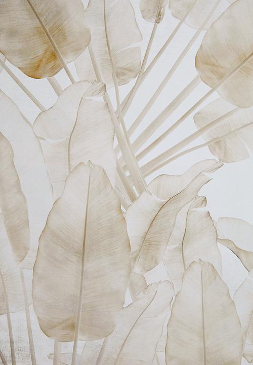 Sixth Floor - Chi Framed Wall Art Set - Natural