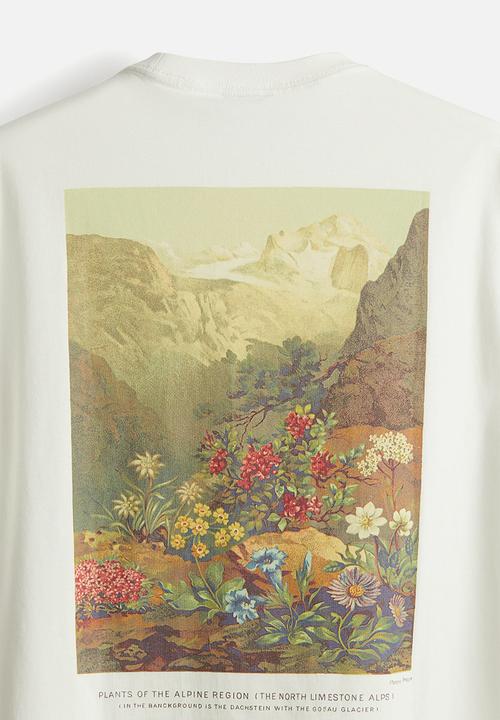H&M - Loose fit printed t-shirt - white & flowers
