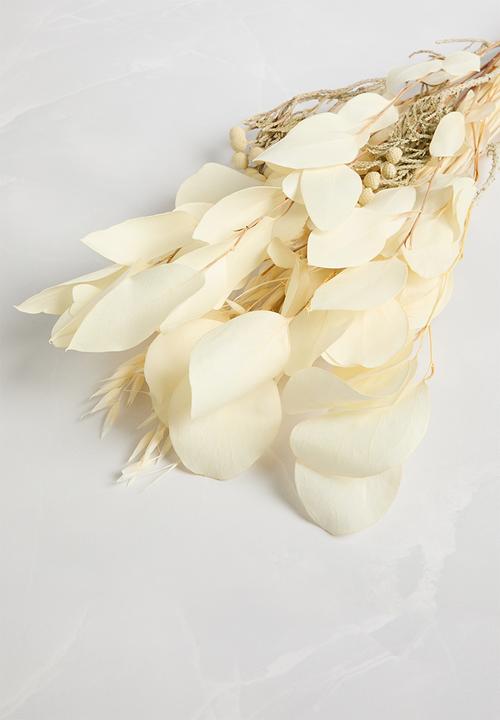 Bloom Space - Natural Bleached #1